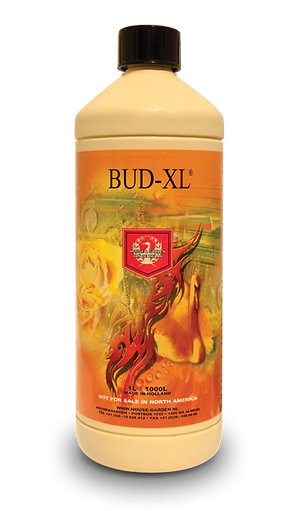 House & Garden Bud-XL