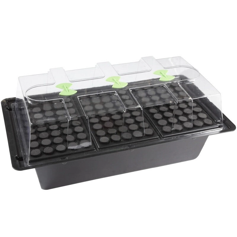 X-Stream Propagator