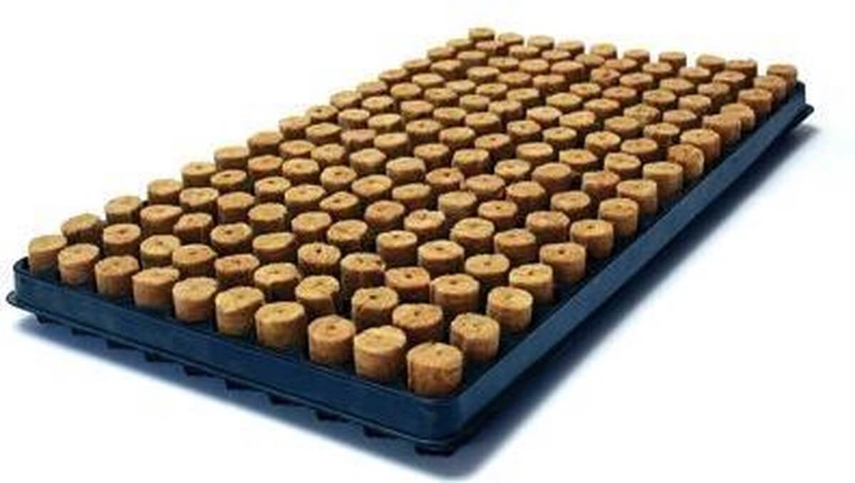 Agra-Wool Anzuchtplugs 84 oder 126 Stück pro Tray