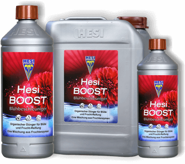 HESI Boost