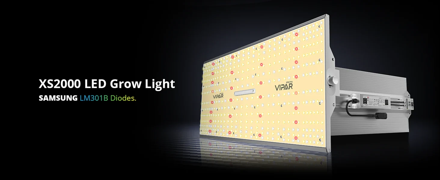 Home Grow Set 120x120x200cm mit ViparSpectra LED