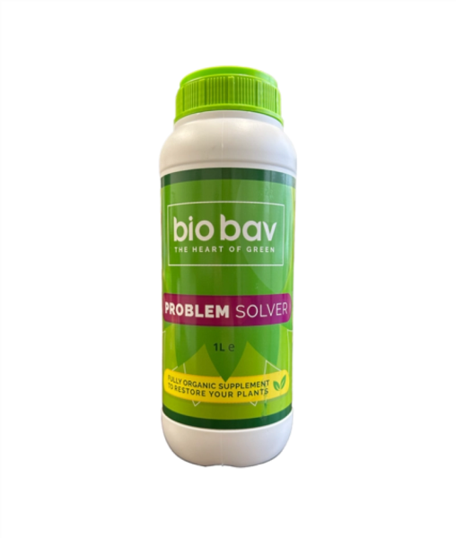 Bio Bav Problem Solver
