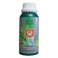 House & Garden Magic Green