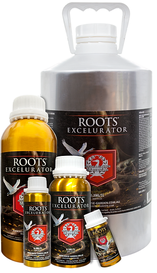 House & Garden Roots Xcelurator Aero Silver