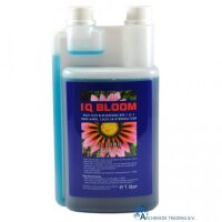 Ion Quest IQ Bloom
