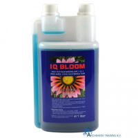 Ion Quest IQ Bloom