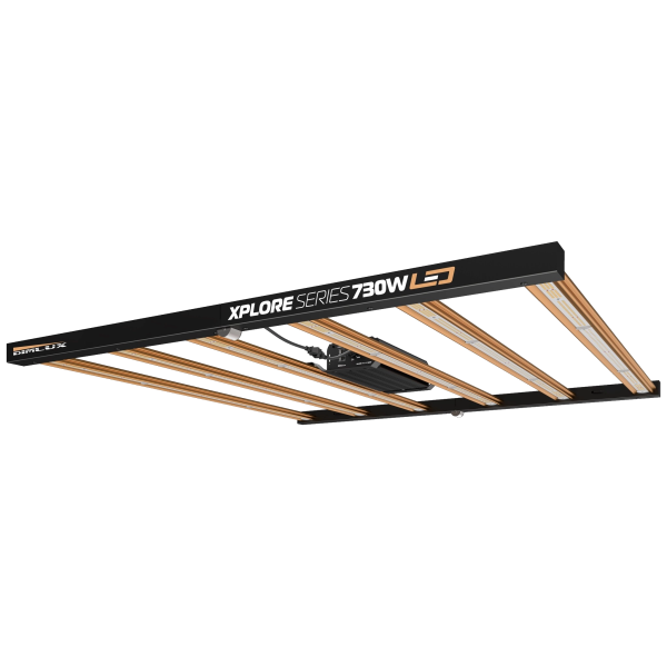 DimLux Xplore Series 730W