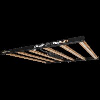 DimLux Xplore Series 730W