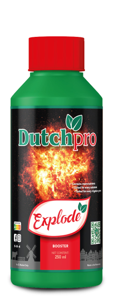 Dutchpro Explode