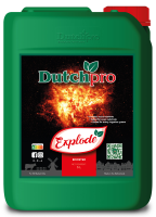 Dutchpro Explode
