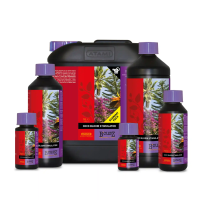 Atami BCuzz Coco Bloom Stimulator