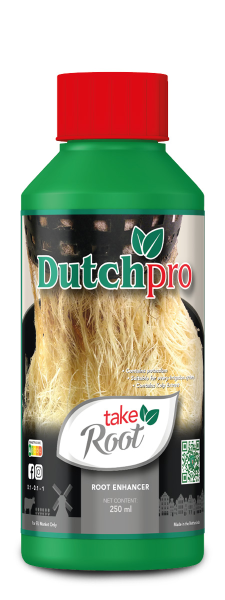 Dutchpro Take Root