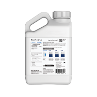 Athena Cleanse