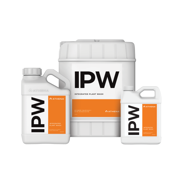 Athena IPW
