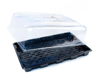 ROOT!T Propagator Light Boden