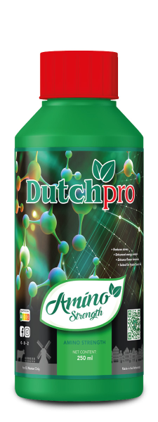 Dutchpro Amino Strength