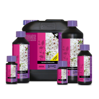 Atami BCuzz Bloom Stimulator