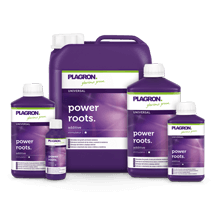 Plagron Power Roots
