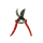 Rosen Schere